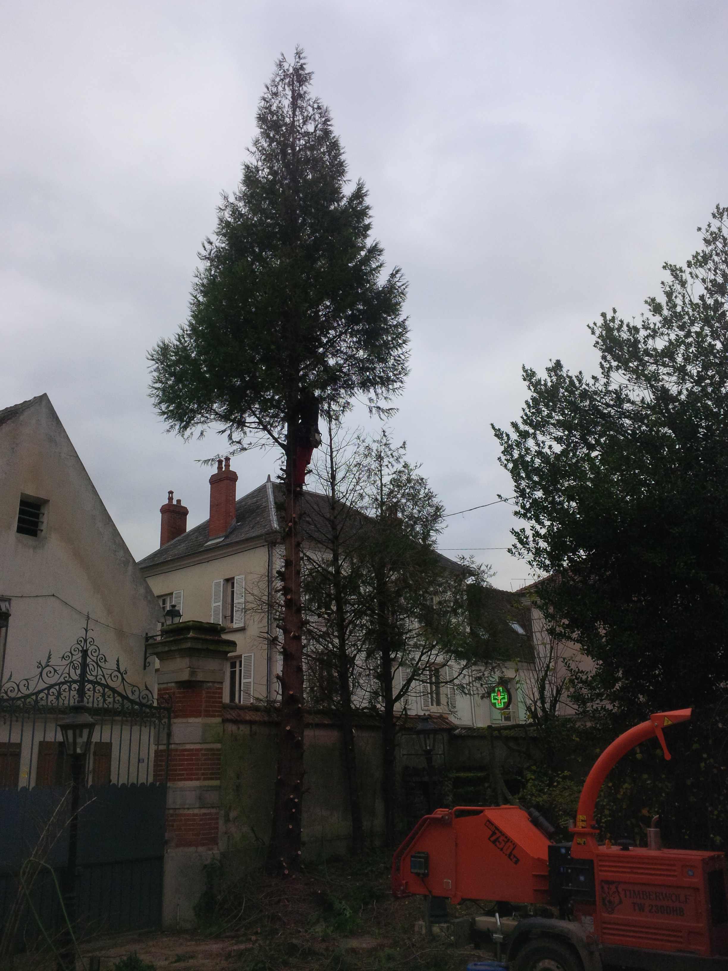 elagage abattage Chezy sur marne 02570